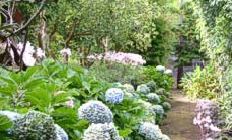 Estalagem Senhora da Rosa - Accommodation in the Azores - Portugal