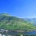 Vila Real - Quinta do Paco Hotel - Accommodation - North Portugal - Porto and Douro basin