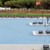 Hotel Vila Gale Lagos - Lagos - Algarve - Accommodation in the western Algarve