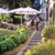 Hotel Baia do Sol - Ponta do Sol - Accommodation in Madeira