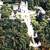 Hotel do Parque - Accommodation in Portugal - Braga - Minho