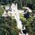 Hotel do Templo - Accommodation in Braga - Bom Jesus