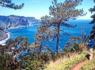 Madeira - Accommodation in Portugal - Inn-Portugal